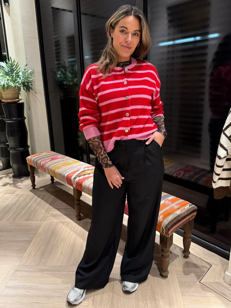 Ambika Pantalon Gris Zwart