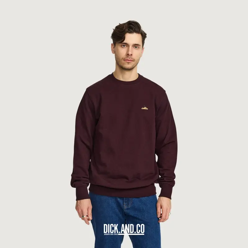 Application sweater (2814 Ski)