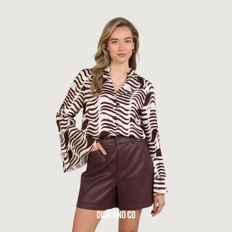 April blouse V-Neck Zebra