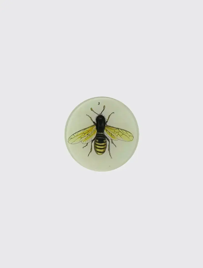 Bee 3