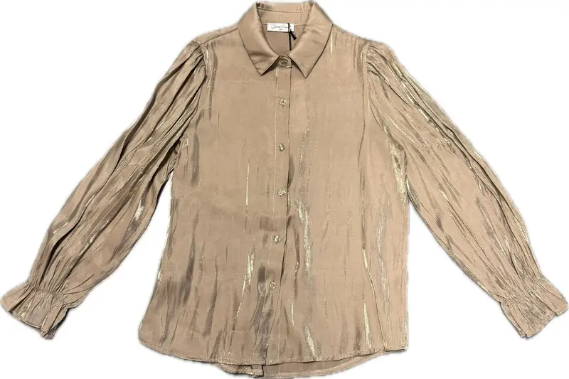 Blouse met glans goud