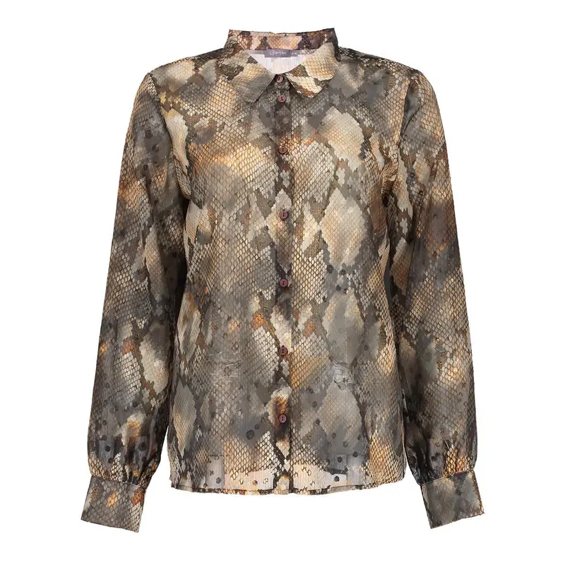 Blouse print