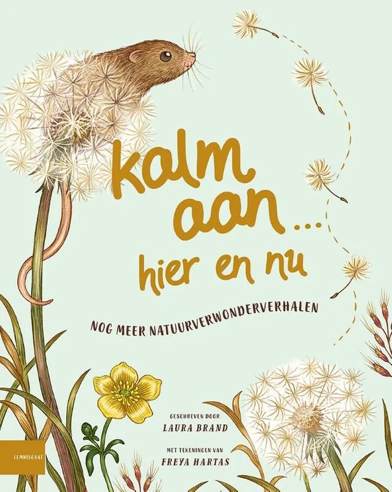 Boek Kalm aan... Hier en nu