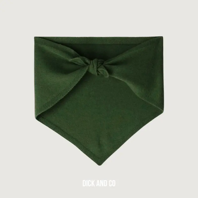 Bonnie Wool Scarf
