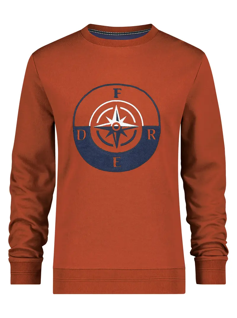 Bruine herentrui | A fish named Fred artwork sweater interlock rust