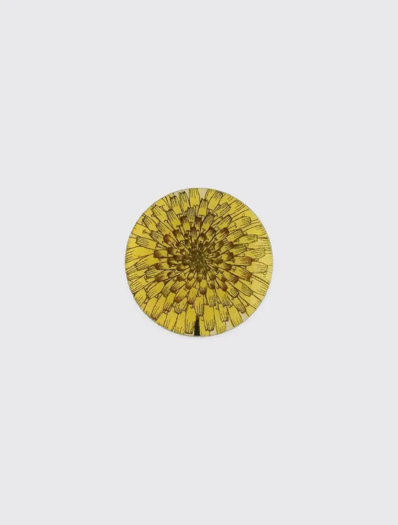 Dandelion Flower