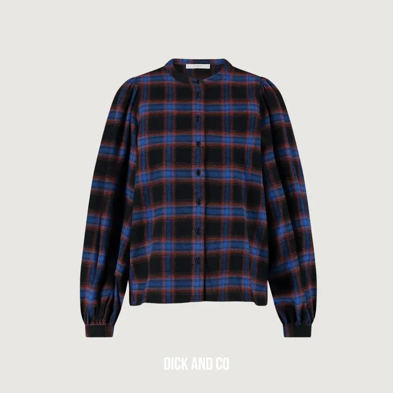 Day Check Blouse