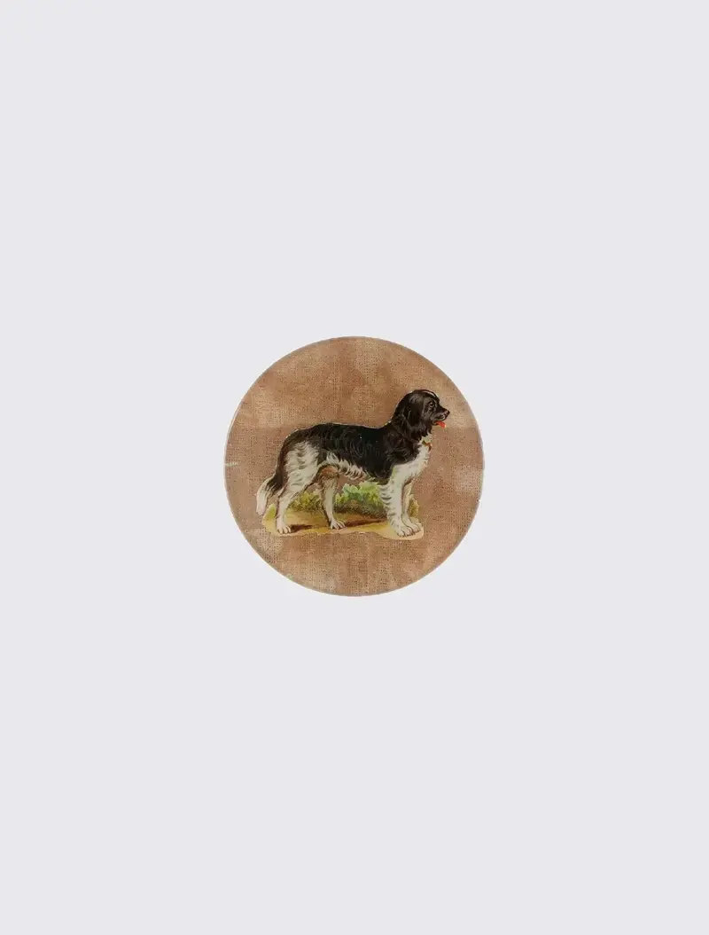 Doggy
