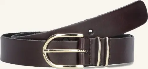 Elvy riem minnesota bruin