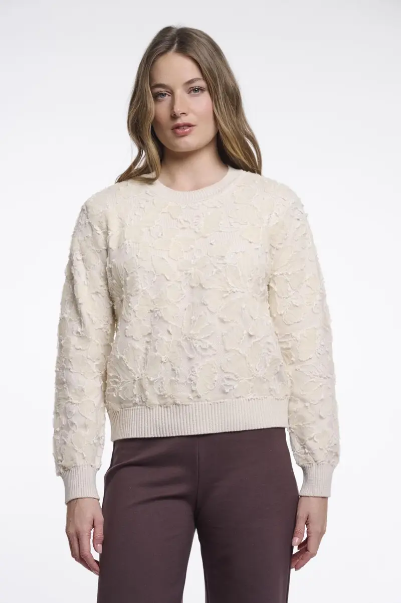 Fancy pullover