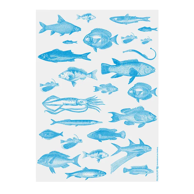 Frohstoff Geschenkpapier Vis Blauw