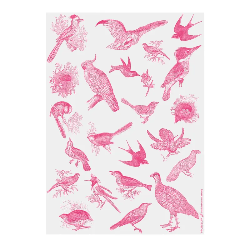Frohstoff Geschenkpapier Vogel Neon Pink