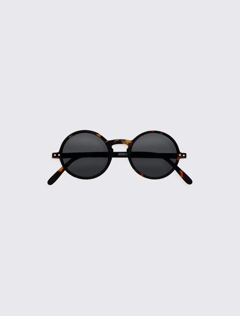 #G Sun Tortoise
