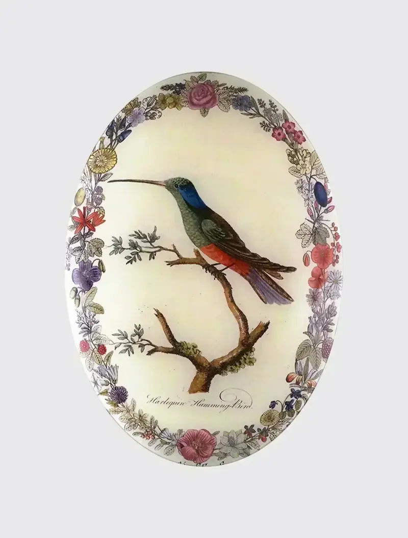 Harlequin Hummingbird with Flowers (Convex)