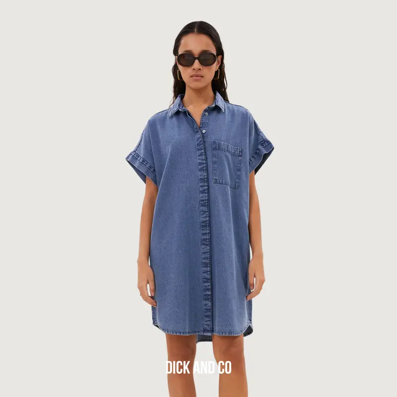 Hella denim dress