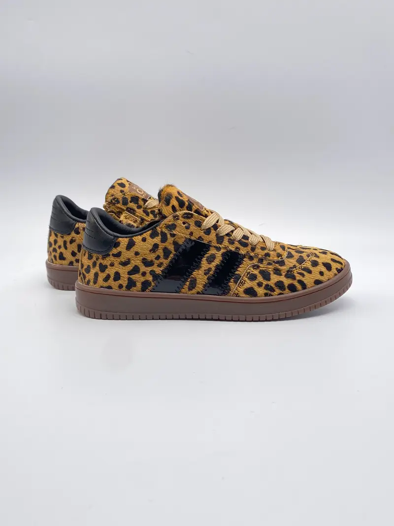Hip h1103 beige combi jaguar black
