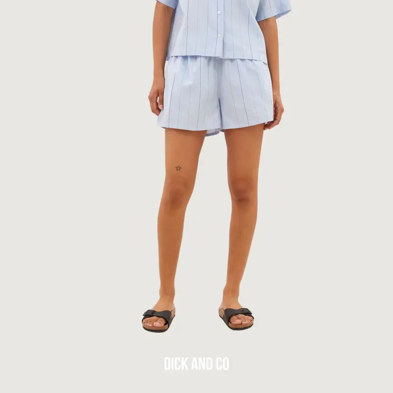 Isa Stripe Chambray shorts