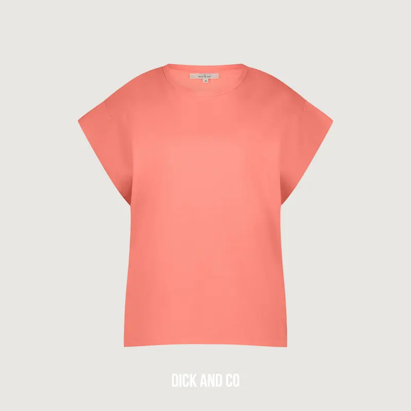Isla t-shirt (S25_66_)