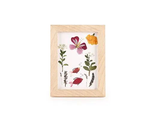 Kikkerland Huckleberry Make Your Own Pressed Flower Frame Art
