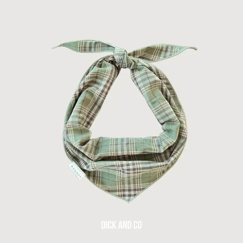 Plaid Sjaal