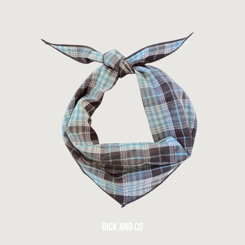 Plaid Sjaal