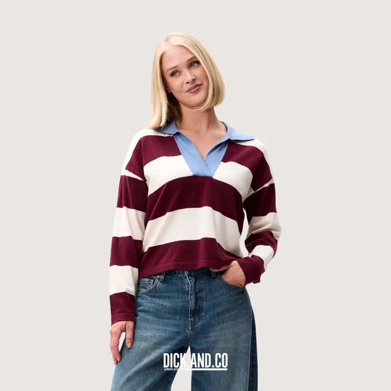 Polo vneck knit
