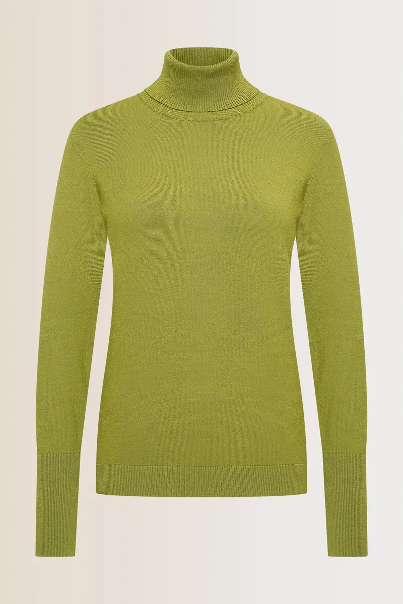 Pullover basic turtleneck EX11-25927 Groen