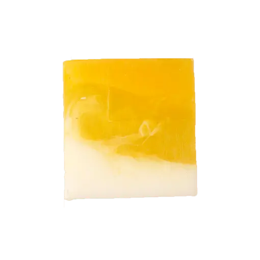 Shampoobars Body Bar Ginseng