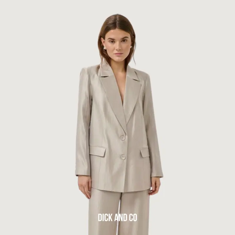 Shine Blazer