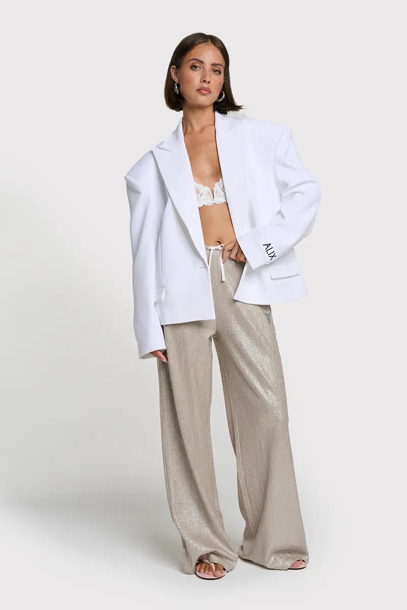 shiney pants