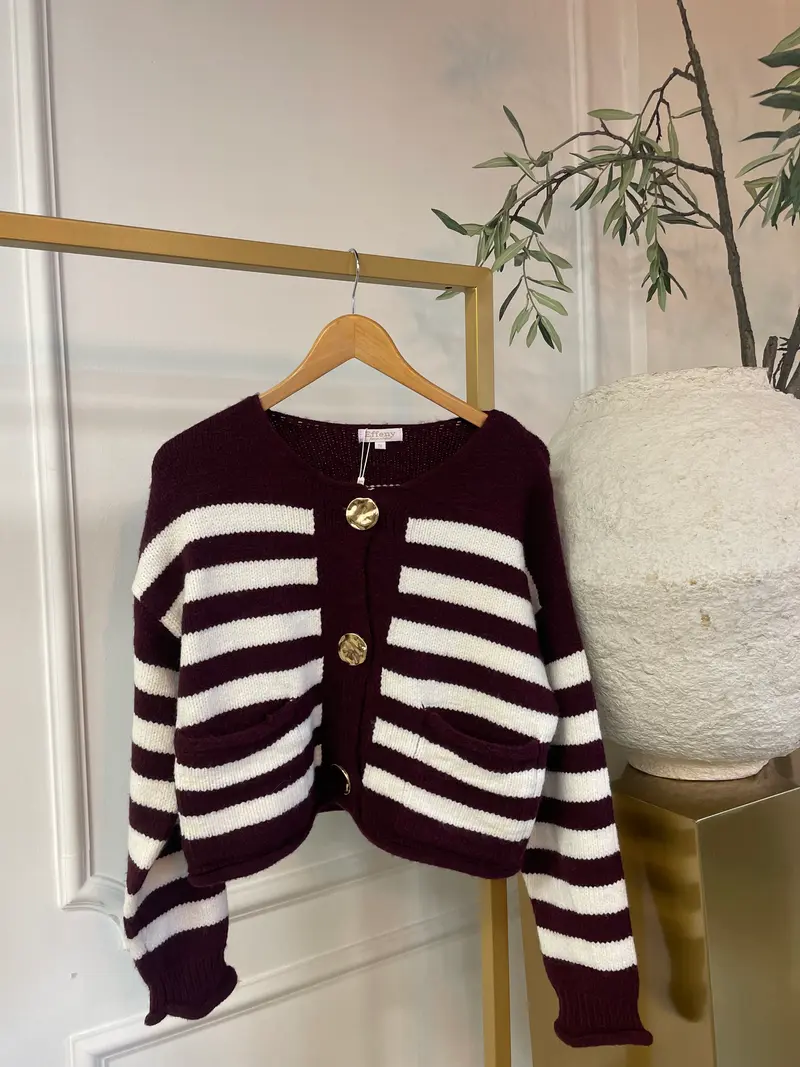Vestje woll stripe SC253057 Bordeaux